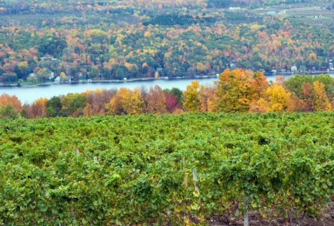 Fun Finger Lakes Vacation Activities 4 Things to Do at the Finger Lakes