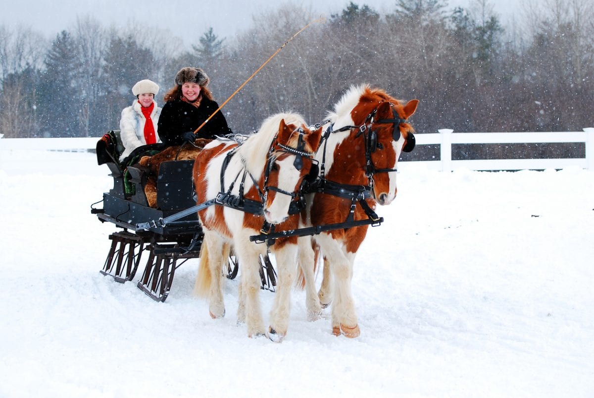 Horse Carriage Dickens Christmas in Skaneateles