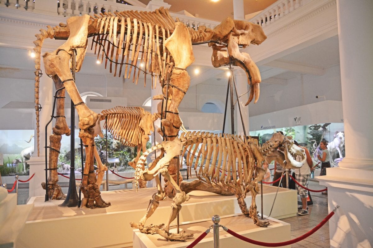 Museums in the Adirondacks stay at NYC Rentals Museums in the Adirondacks stay at NYC Rentals