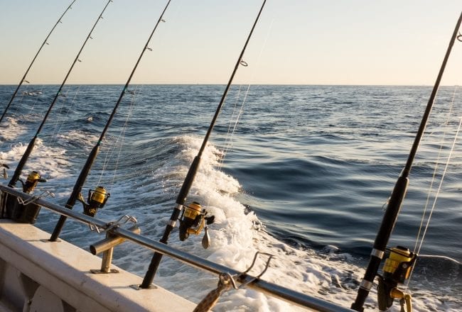 Amazing Fishing Adventures On New York’s Lake Ontario﻿