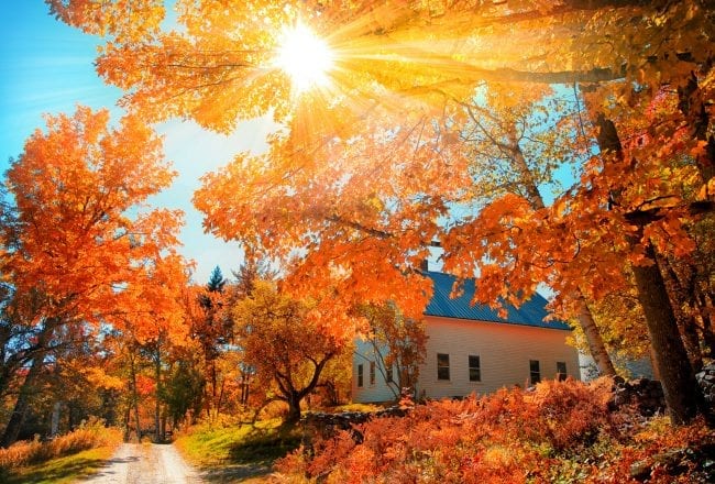 2019 Fall Foliage in New York State