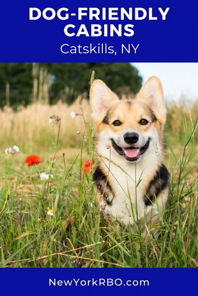 Cabin Rentals Near Catskill NY