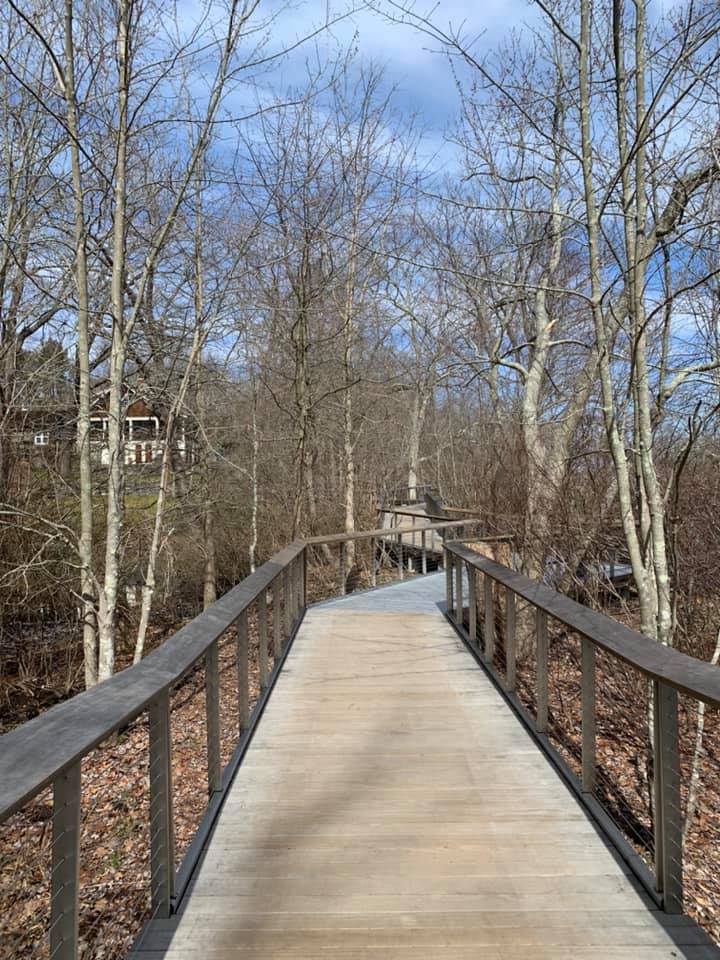 Avalon Nature Preserve - Things to Do in Long Island