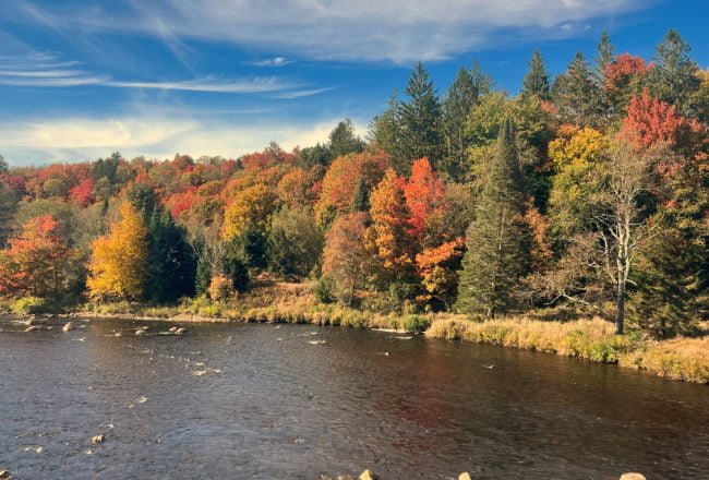 Chasing Autumn Splendor-November Weather in New York