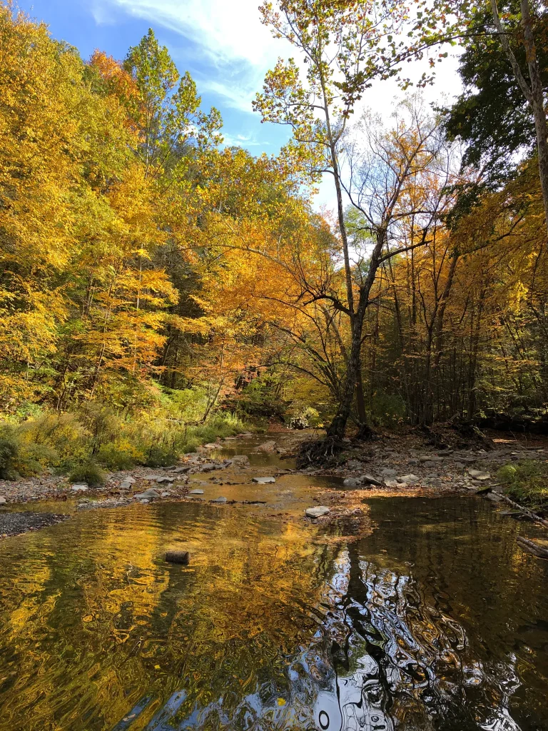 Best Hikes in Upstate New York for Every Skill Level 7 Rim Gorge Trail