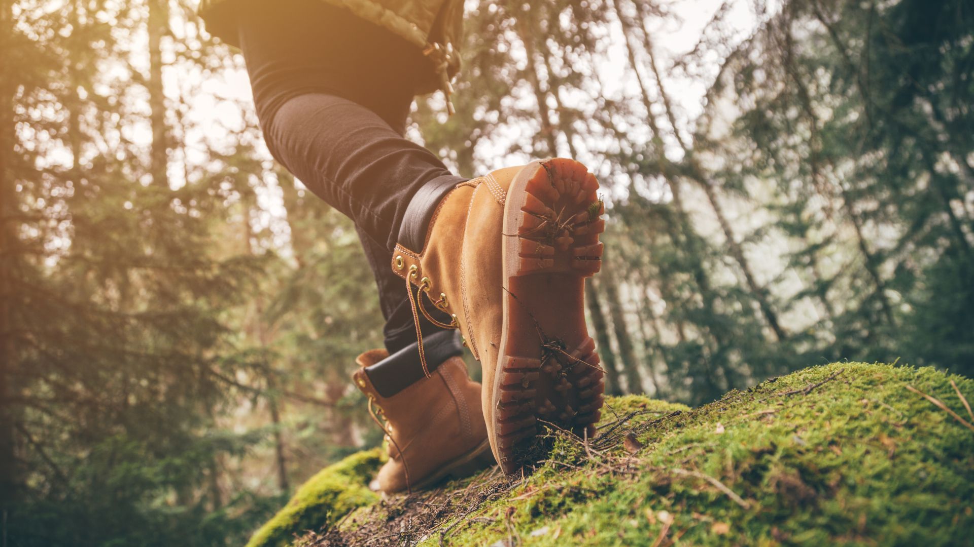 The Best Upstate New York Hiking Trails