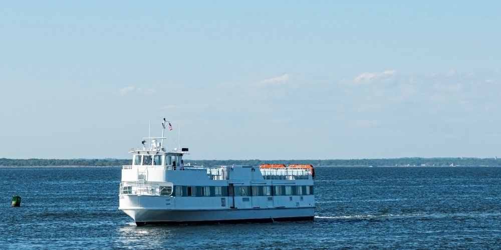 Best Long Island Off-Season Activities: Montauk to Fire Island 7 Wildlife viewing on Long Island during the off-season months