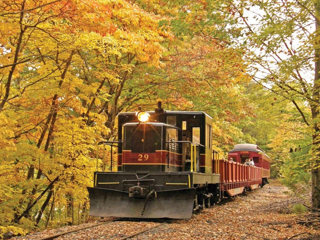 Plan Your Perfect Ride on the Catskill Mountain Railroad: Ticket Prices, Fall Views, and More 4 Catskill Mountain Railroad - Best Time and Seasonal Highlights