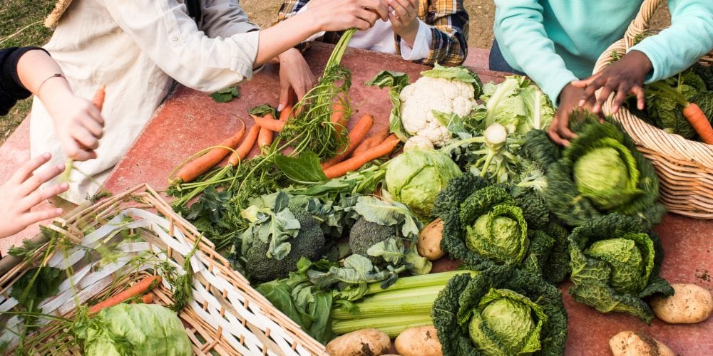 Farm-to-Table Dining Experiences Near Vacation Rentals in the Adirondacks 7 Local farms supporting farm-to-table dining near the Adirondacks in Upstate New York