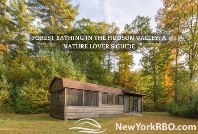 Forest Bathing in the Hudson Valley A Nature Lover’s Guide