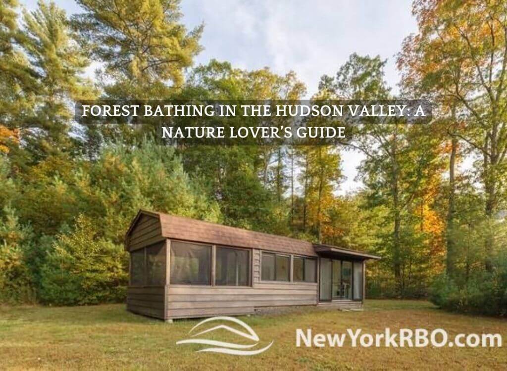 Forest Bathing in the Hudson Valley A Nature Lover’s Guide