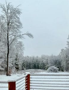 Lake George Winter Events & Experiences: Your Guide to a Winter Wonderland in Lake George 2 Snow-covered trees and a frosty wooden railing overlooking a peaceful Lake George winter landscape.