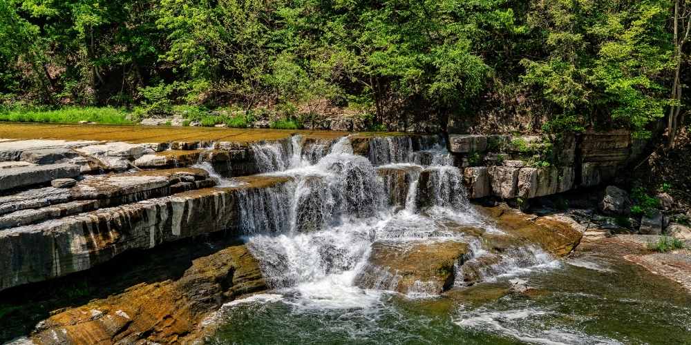 Mindful forest bathing experience in New York State nature trails