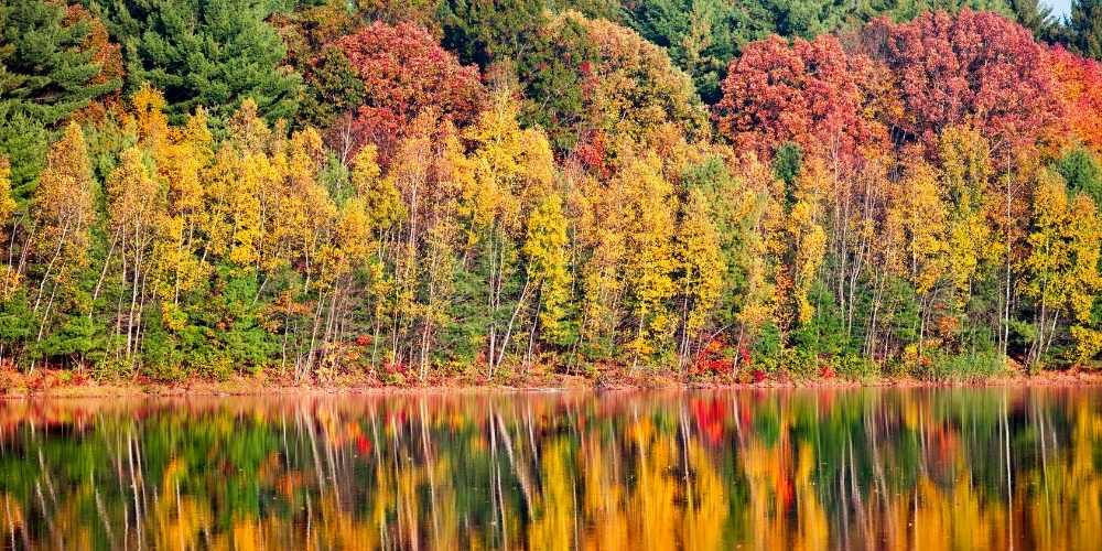 Plan Your Perfect Ride on the Catskill Mountain Railroad: Ticket Prices, Fall Views, and More 3 Fall Foliage Ride on Catskills