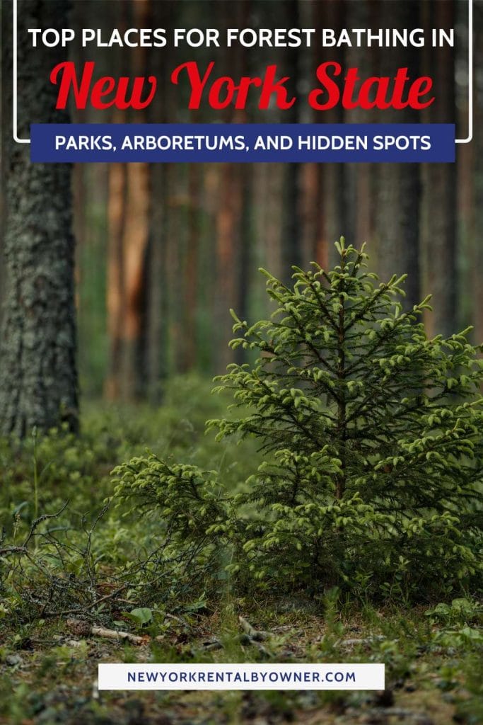 Top Places for Forest Bathing in New York State Parks Arboretums and Hidden Spots Pinterest Image