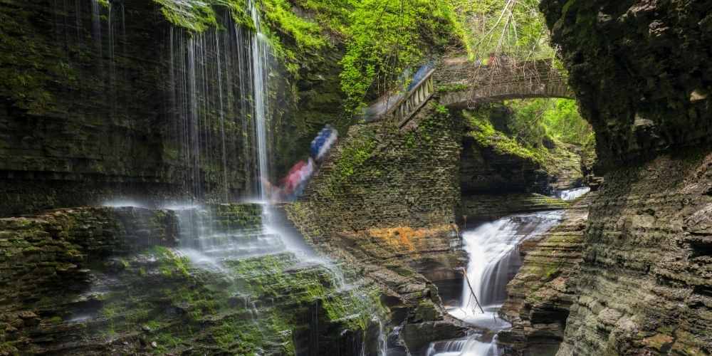 Forest Bathing in New York State within the Adirondack Mountains
