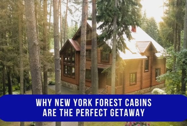 New York Cabin Rentals outdoor fire pit with wooden chairs overlooking scenic forest views