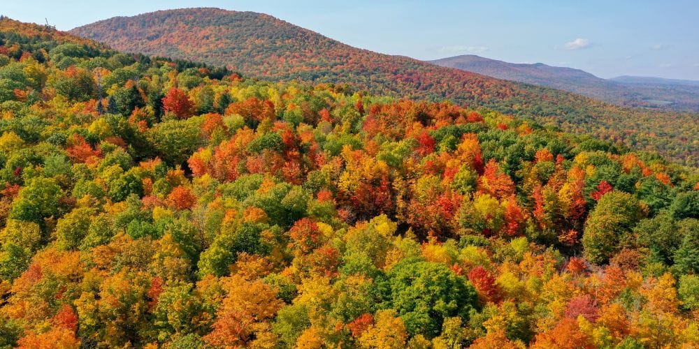 the Best Season to Visit the Catskills for Weather, Activities, and Events