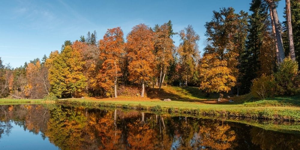 Best Finger Lakes Region Vacation Rentals You’ll Love 4 Experience Fall Foliage in the Finger Lakes Region