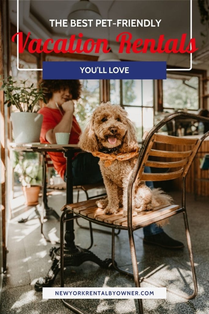 Best Pet Friendly Vacation Rentals You’ll Love 2 The Best Pet-Friendly Vacation Rentals You'll Love