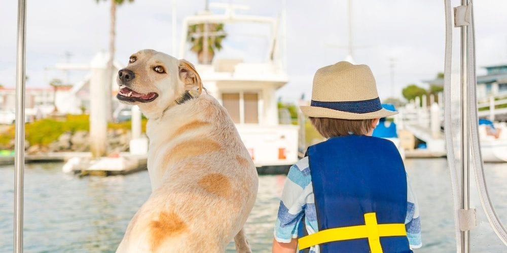 Pet-friendly Lake George vacation rentals