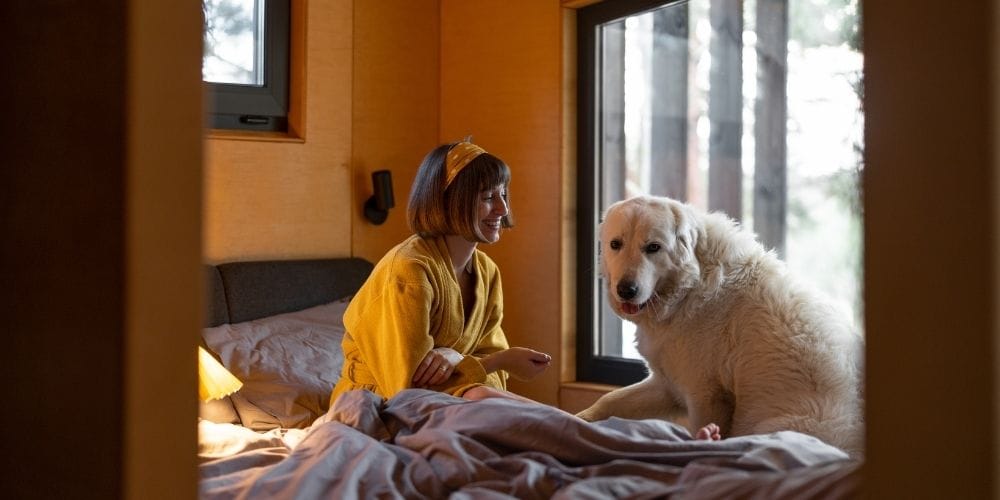 Best Vacation Rentals in New York for Families, Couples, and Groups 4 Pet-friendly vacation rentals in New York