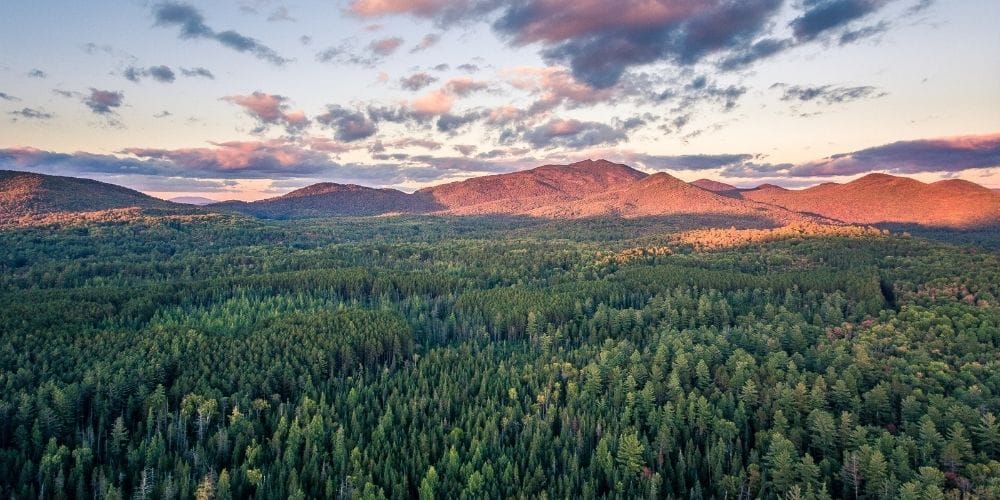 Plan Your Adirondack Summer Adventure