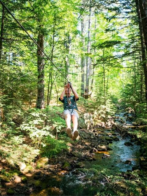 Soar Through the Treetops on an Adirondack Zipline